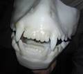 mask2.jpg