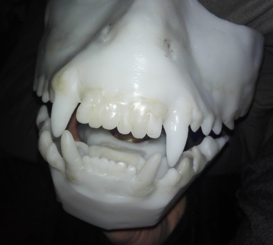mask2.jpg
