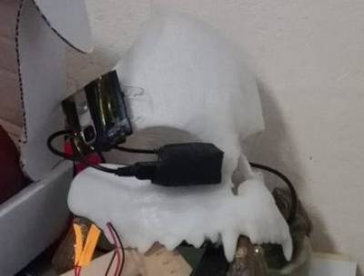 Servo skull